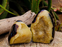 Polished Septerye Standing Free Forms x 4 From Mahajanga, Madagascar