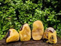 Polished Septerye Standing Free Forms x 4 From Mahajanga, Madagascar