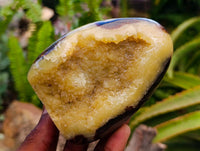 Polished Septerye Standing Free Forms x 4 From Mahajanga, Madagascar