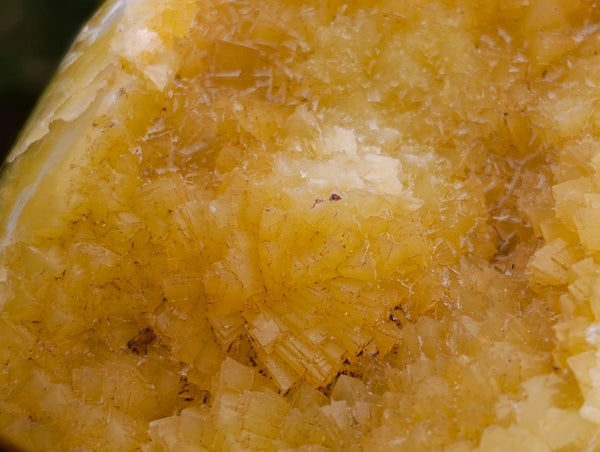 Polished Septerye Standing Free Forms x 4 From Mahajanga, Madagascar