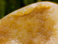 Polished Septerye Standing Free Forms x 4 From Mahajanga, Madagascar