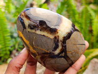 Polished Septerye Standing Free Forms x 4 From Mahajanga, Madagascar