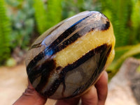 Polished Septerye Standing Free Forms x 4 From Mahajanga, Madagascar