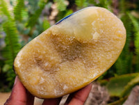 Polished Septerye Standing Free Forms x 4 From Mahajanga, Madagascar