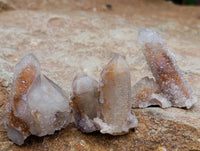 Natural Limonite Fairy Spirit Quartz Crystals x 70 From Boekenhouthoek, South Africa