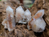 Natural Limonite Fairy Spirit Quartz Crystals x 70 From Boekenhouthoek, South Africa