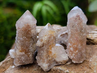 Natural Limonite Fairy Spirit Quartz Crystals x 70 From Boekenhouthoek, South Africa