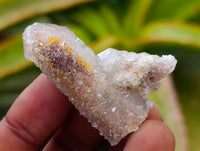 Natural Limonite Fairy Spirit Quartz Crystals x 70 From Boekenhouthoek, South Africa