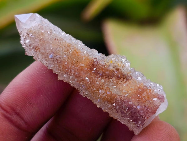 Natural Limonite Fairy Spirit Quartz Crystals x 70 From Boekenhouthoek, South Africa
