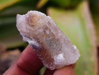 Natural Limonite Fairy Spirit Quartz Crystals x 70 From Boekenhouthoek, South Africa
