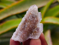 Natural Limonite Fairy Spirit Quartz Crystals x 70 From Boekenhouthoek, South Africa