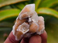 Natural Limonite Fairy Spirit Quartz Crystals x 70 From Boekenhouthoek, South Africa