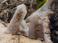 Natural Limonite Fairy Spirit Quartz Crystals x 70 From Boekenhouthoek, South Africa