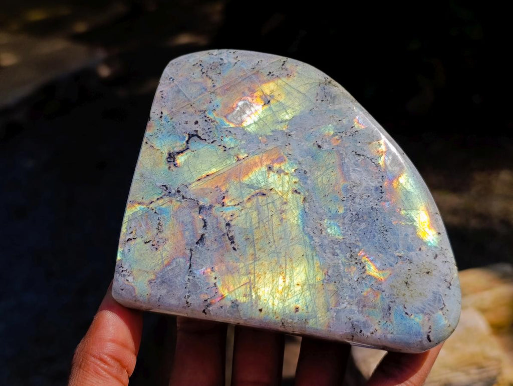 Polished Labradorite Standing Free Forms x 2 From Tulear, Madagascar