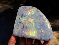 Polished Labradorite Standing Free Forms x 2 From Tulear, Madagascar