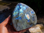 Polished Labradorite Standing Free Forms x 2 From Tulear, Madagascar