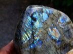 Polished Labradorite Standing Free Forms x 2 From Tulear, Madagascar