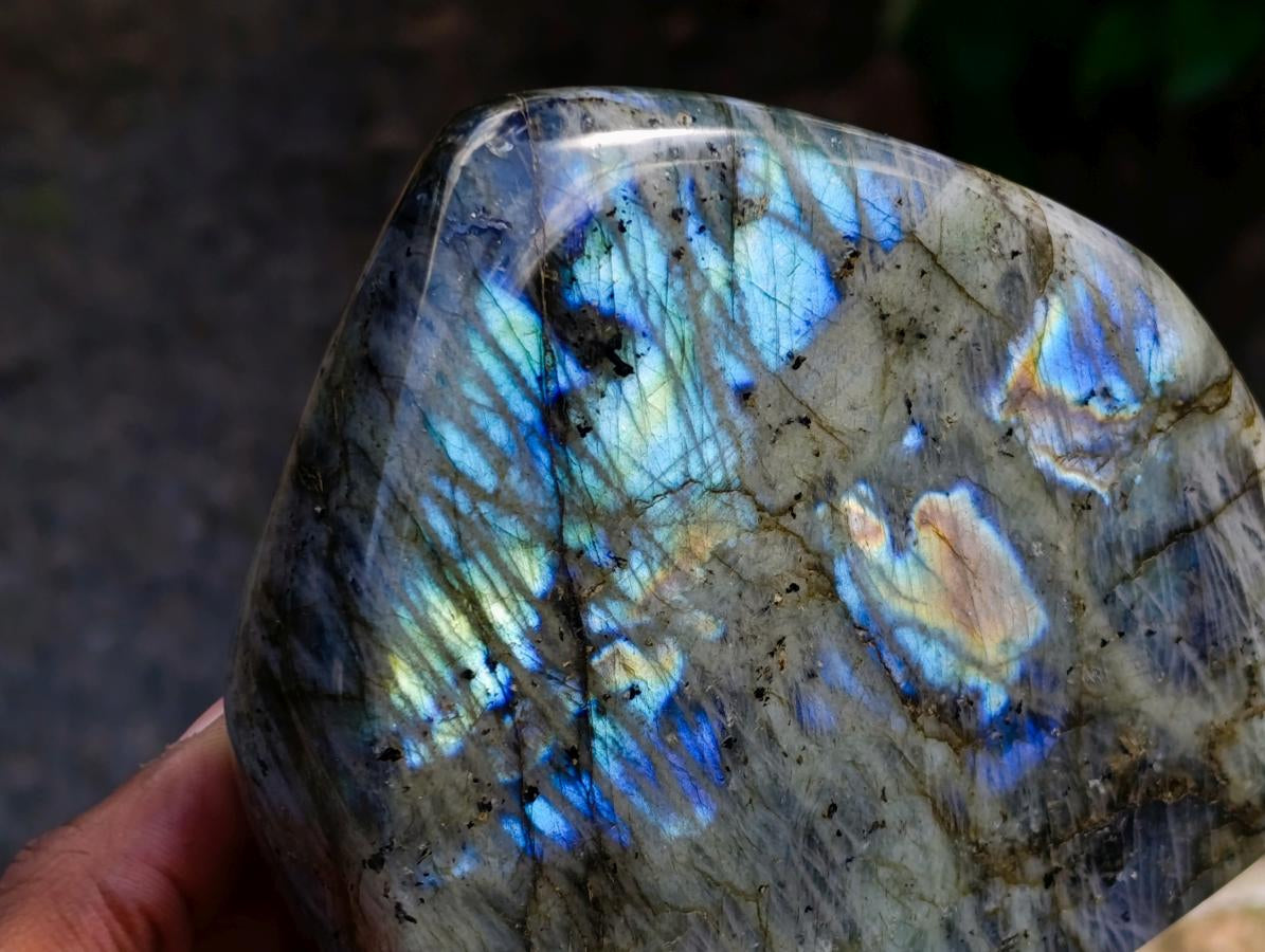 Polished Labradorite Standing Free Forms x 2 From Tulear, Madagascar
