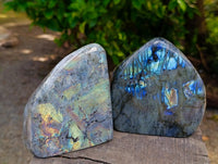 Polished Labradorite Standing Free Forms x 2 From Tulear, Madagascar