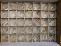 Polished Double Terminated Clear Quartz Crystals x 35 From Madagascar