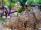 Natural Clear Smokey Citrine Quartz Cluster x 1 From Luena, Congo