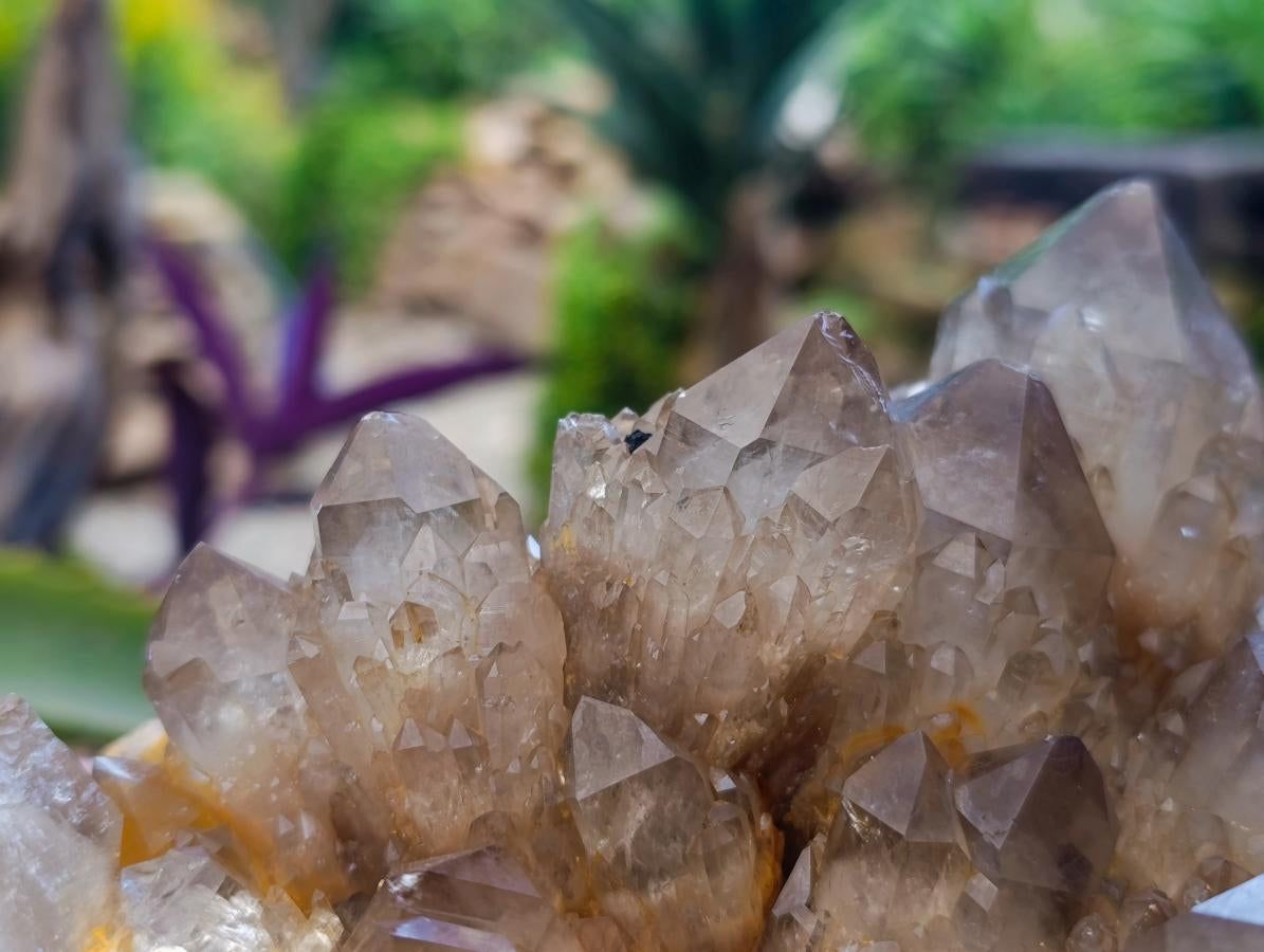 Natural Clear Smokey Citrine Quartz Cluster x 1 From Luena, Congo