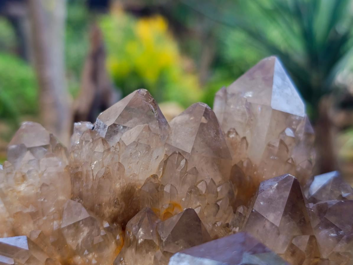 Natural Clear Smokey Citrine Quartz Cluster x 1 From Luena, Congo