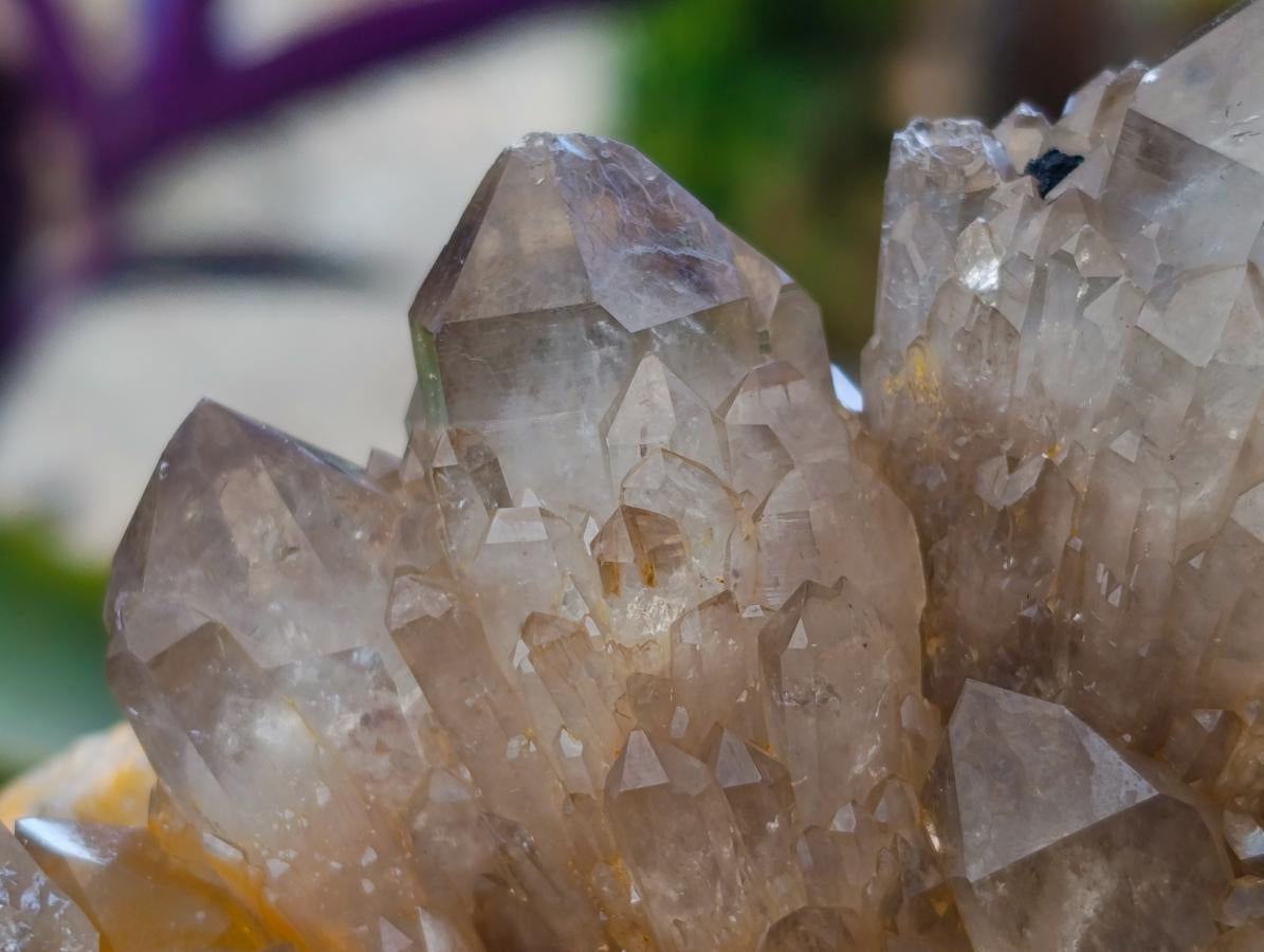 Natural Clear Smokey Citrine Quartz Cluster x 1 From Luena, Congo