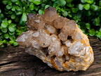 Natural Clear Smokey Citrine Quartz Cluster x 1 From Luena, Congo