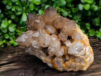 Natural Clear Smokey Citrine Quartz Cluster x 1 From Luena, Congo