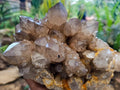 Natural Clear Smokey Citrine Quartz Cluster x 1 From Luena, Congo