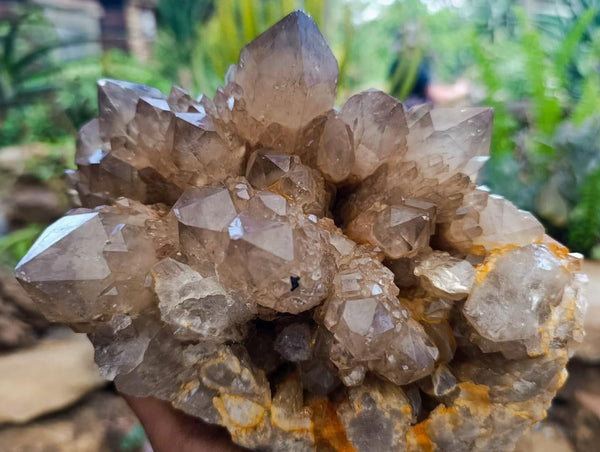 Natural Clear Smokey Citrine Quartz Cluster x 1 From Luena, Congo
