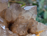 Natural Clear Smokey Citrine Quartz Cluster x 1 From Luena, Congo