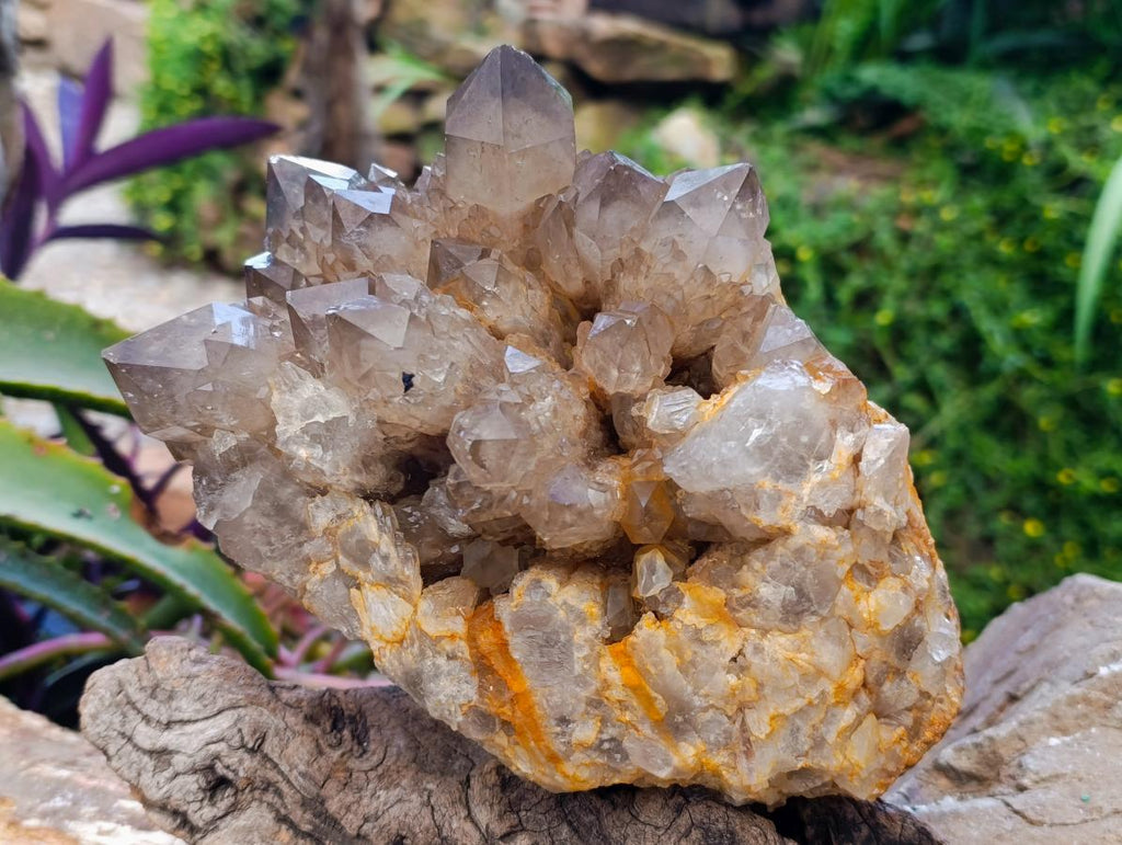 Natural Clear Smokey Citrine Quartz Cluster x 1 From Luena, Congo