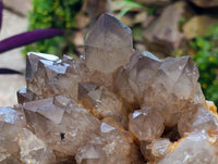 Natural Clear Smokey Citrine Quartz Cluster x 1 From Luena, Congo
