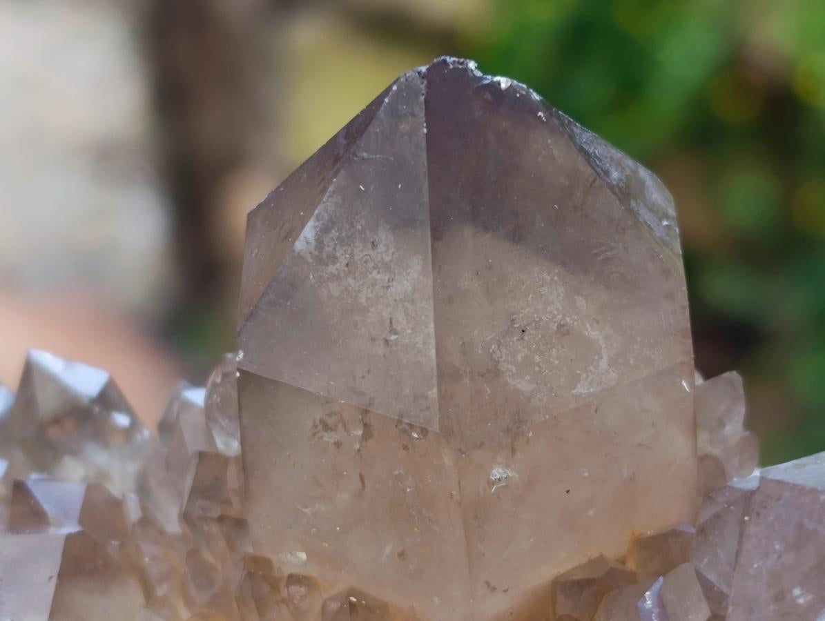 Natural Clear Smokey Citrine Quartz Cluster x 1 From Luena, Congo