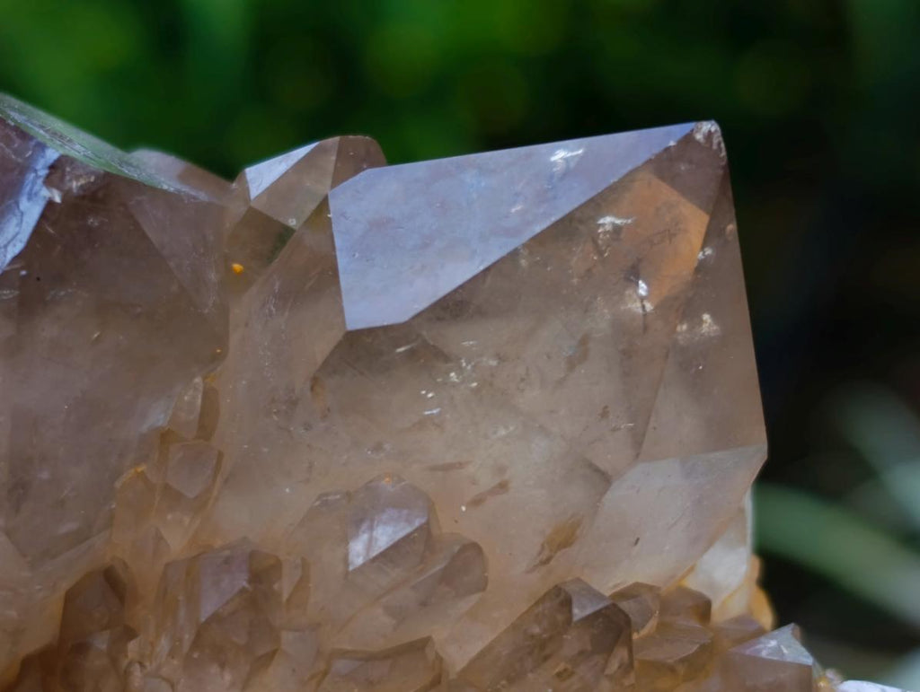 Natural Clear Smokey Citrine Quartz Cluster x 1 From Luena, Congo