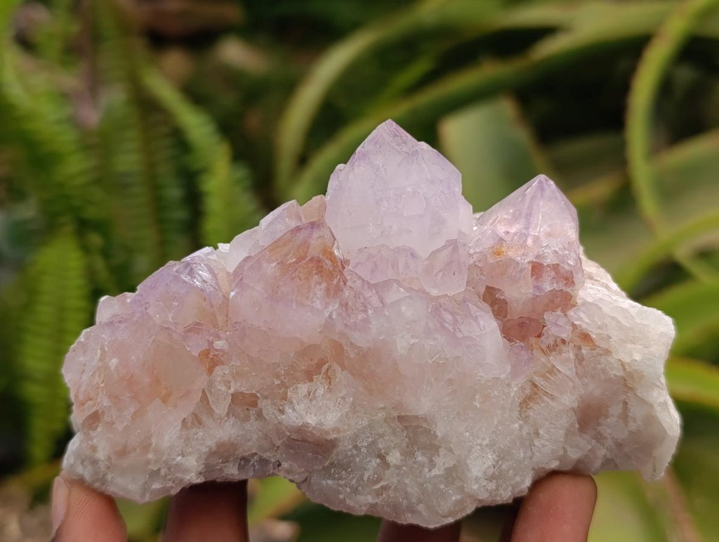 Natural Sunburst Amethyst Spirit Clusters x 6 From Boekenhouthoek, South Africa