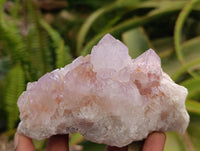 Natural Sunburst Amethyst Spirit Clusters x 6 From Boekenhouthoek, South Africa