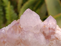 Natural Sunburst Amethyst Spirit Clusters x 6 From Boekenhouthoek, South Africa