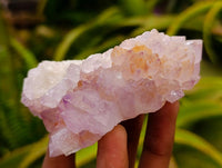 Natural Sunburst Amethyst Spirit Clusters x 6 From Boekenhouthoek, South Africa