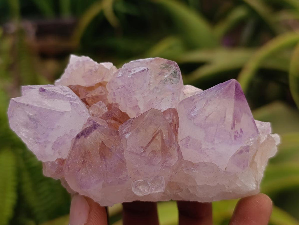 Sunburst Rocks Natural Sunburst Amethyst Spirit Clusters x 6 From Boekenhouthoek, Sou ...