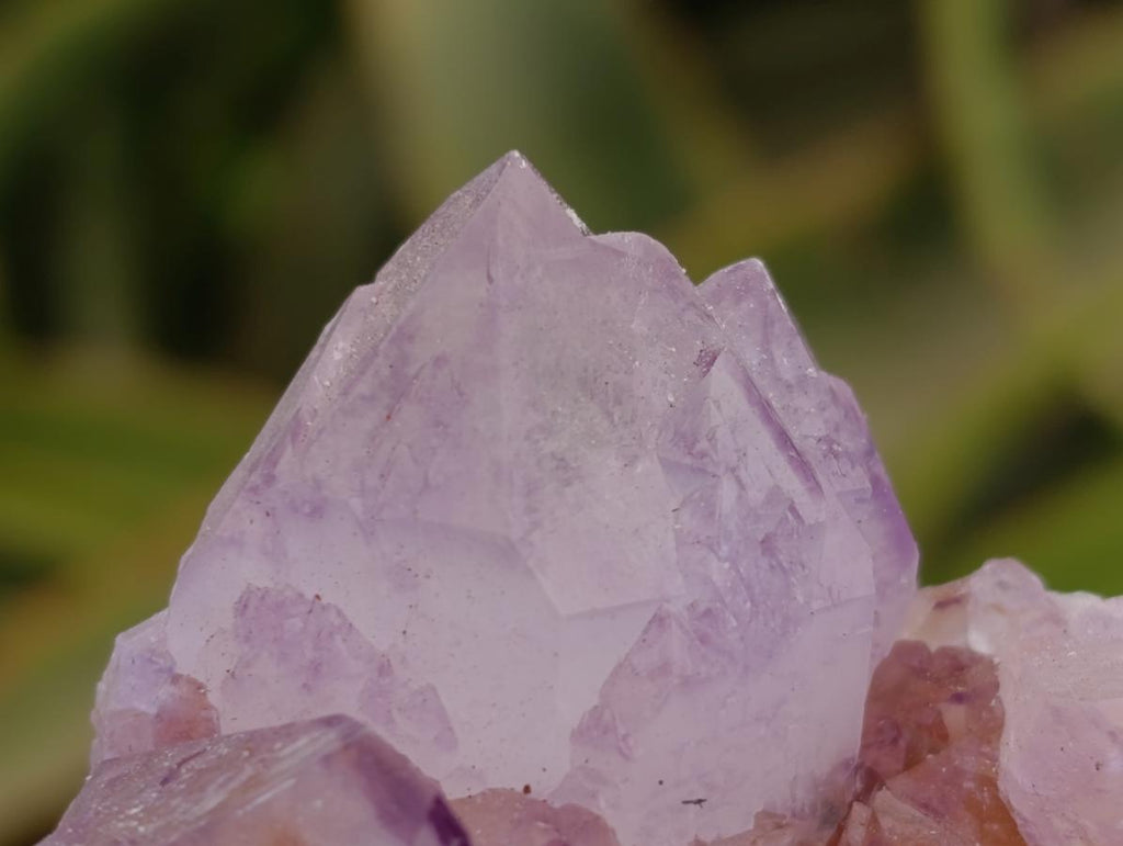 Natural Sunburst Amethyst Spirit Clusters x 6 From Boekenhouthoek, South Africa