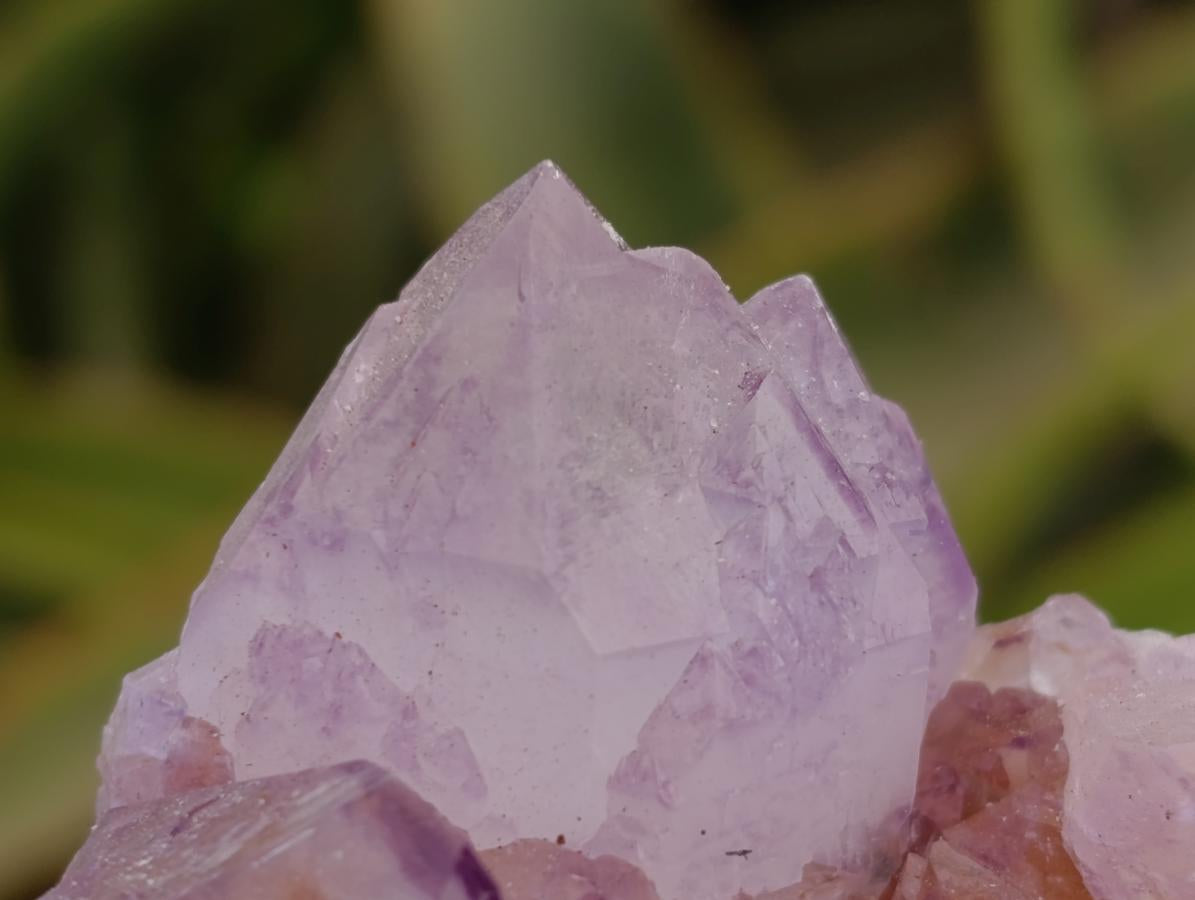Natural Sunburst Amethyst Spirit Clusters x 6 From Boekenhouthoek, South Africa