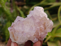 Natural Sunburst Amethyst Spirit Clusters x 6 From Boekenhouthoek, South Africa