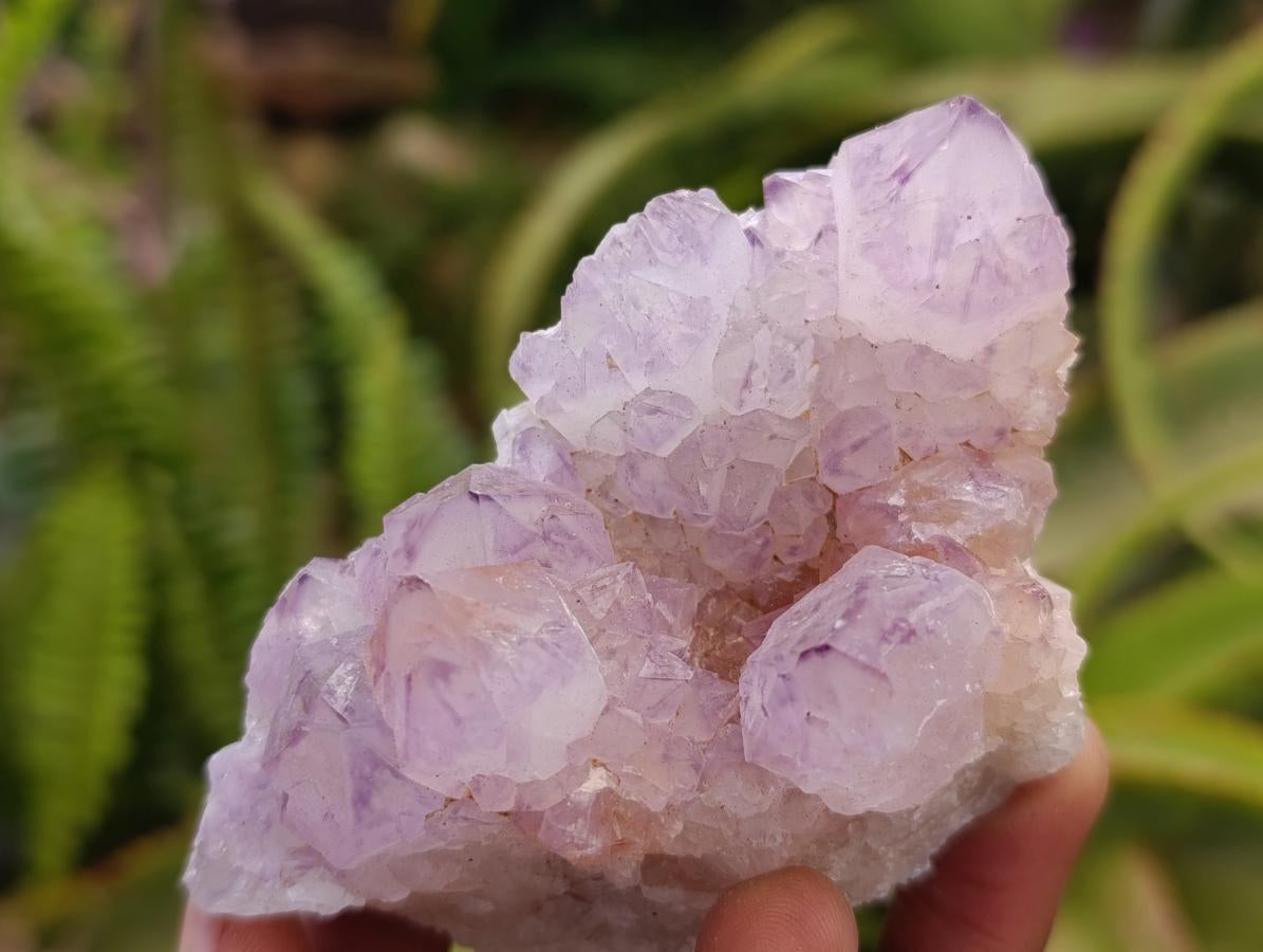 Natural Sunburst Amethyst Spirit Clusters x 6 From Boekenhouthoek, South Africa