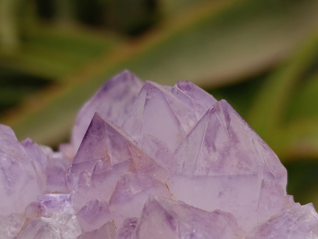 Natural Sunburst Amethyst Spirit Clusters x 6 From Boekenhouthoek, South Africa