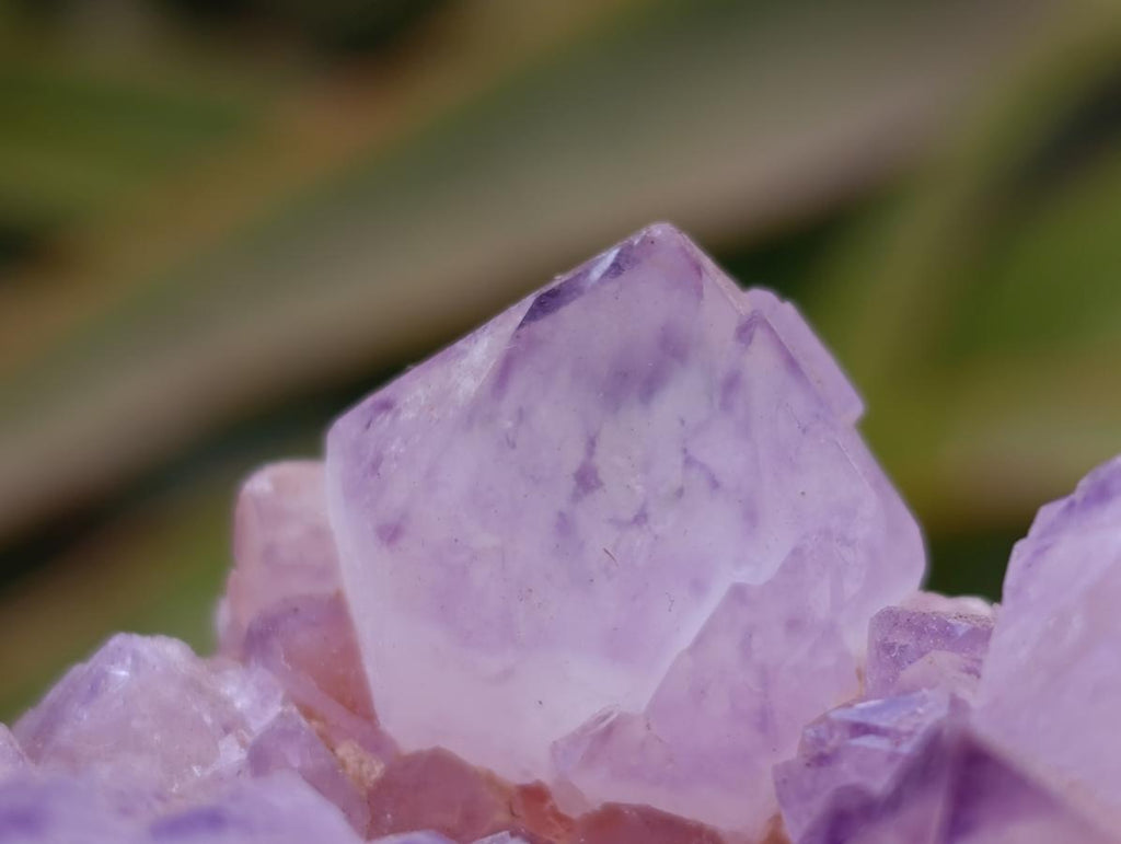 Natural Sunburst Amethyst Spirit Clusters x 6 From Boekenhouthoek, South Africa