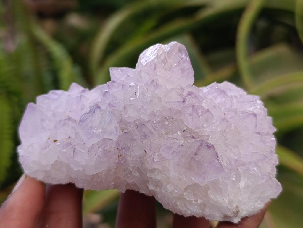 Natural Sunburst Amethyst Spirit Clusters x 6 From Boekenhouthoek, South Africa