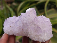 Natural Sunburst Amethyst Spirit Clusters x 6 From Boekenhouthoek, South Africa